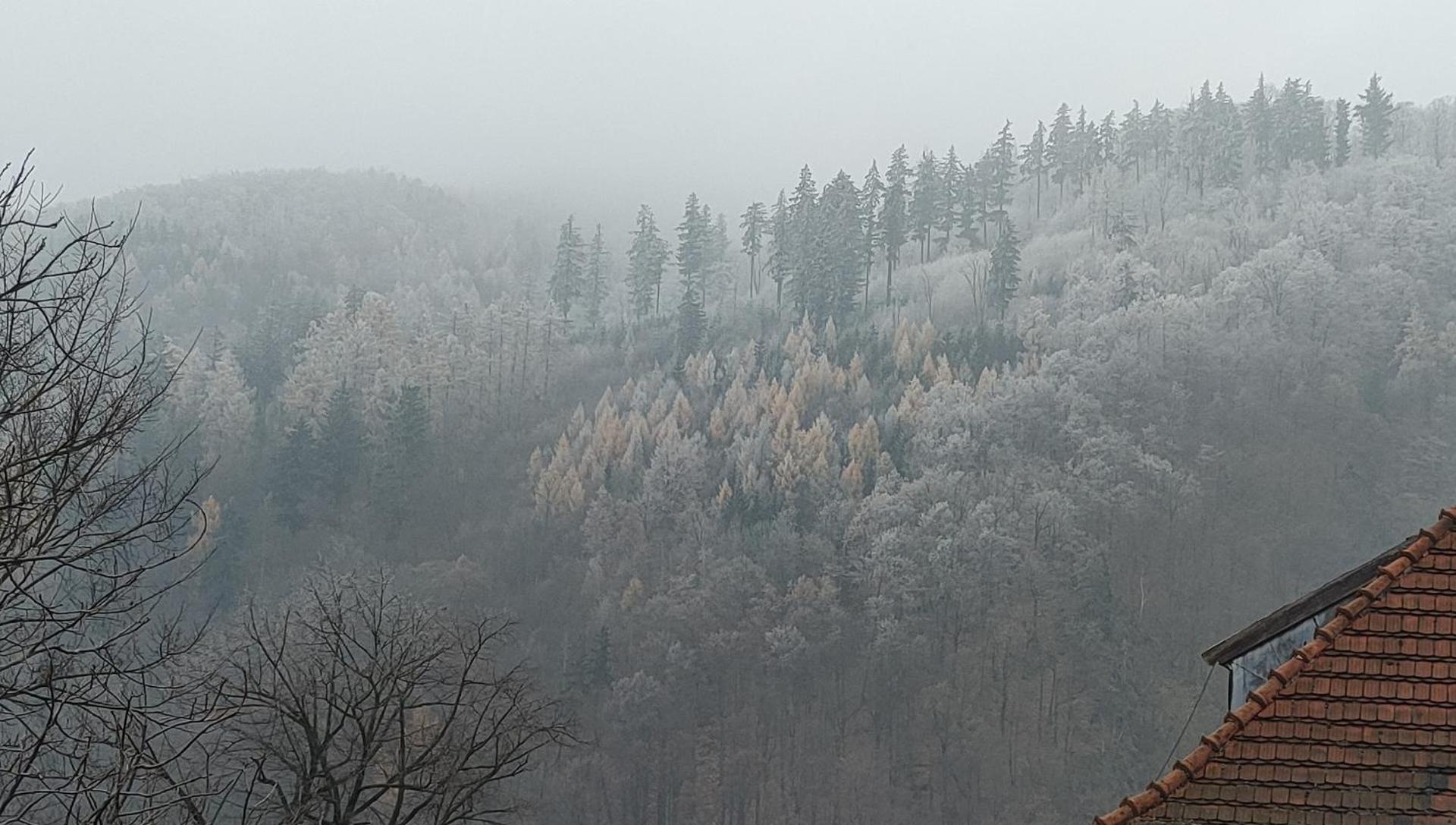 Apartament Góry Bardzkie