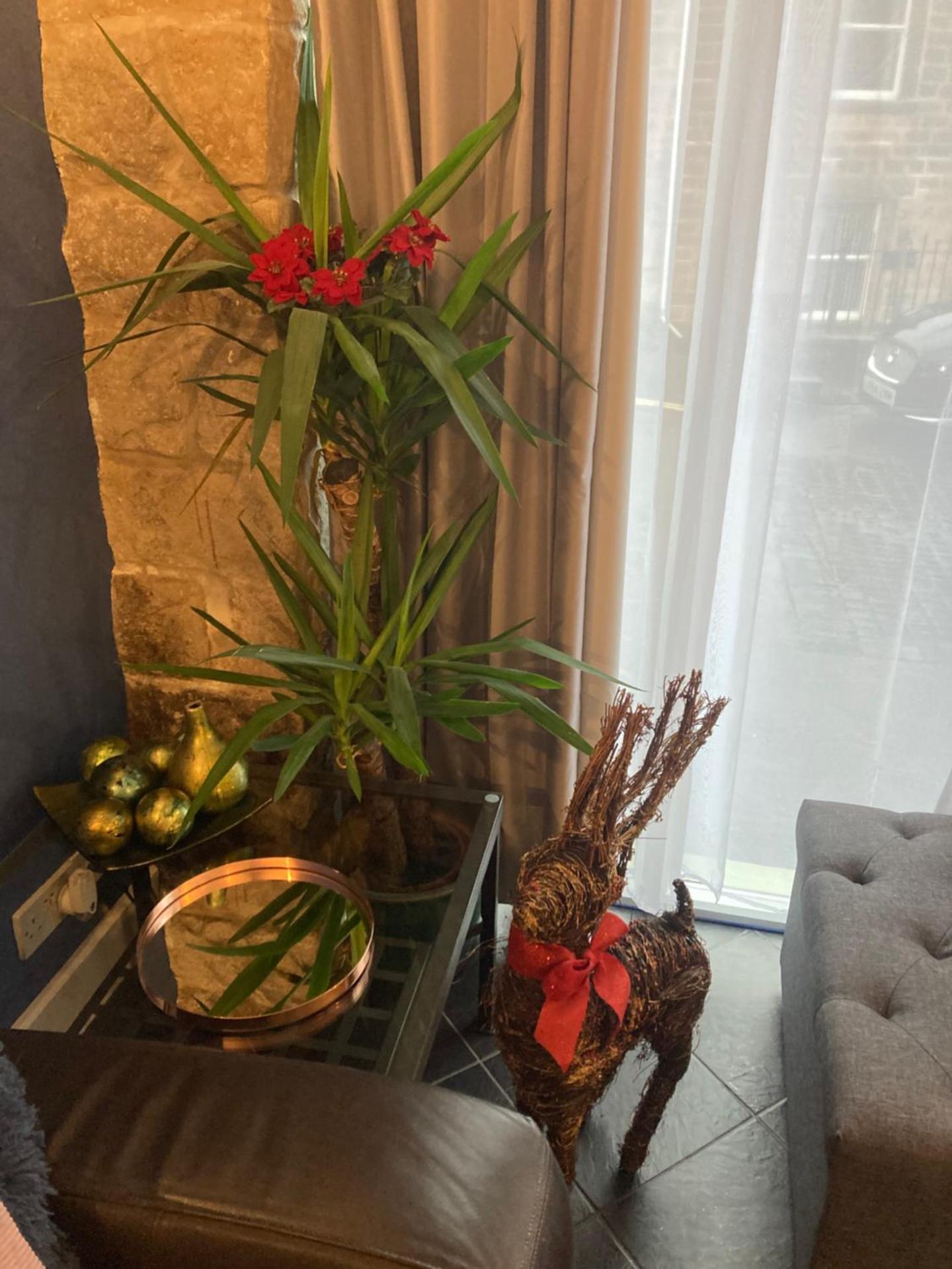 1 Coach House Mews - Matlock Bath