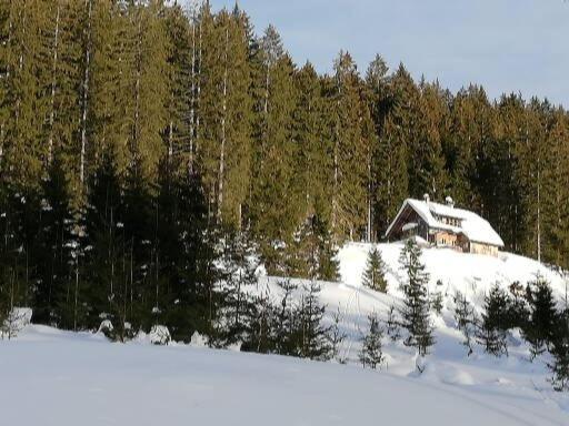 Ferienwohnung Schmaranzer