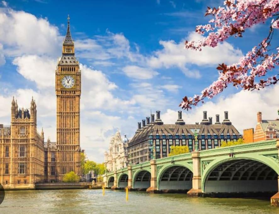 Spacious 2 Bed Urban Jungle Flat, Central London