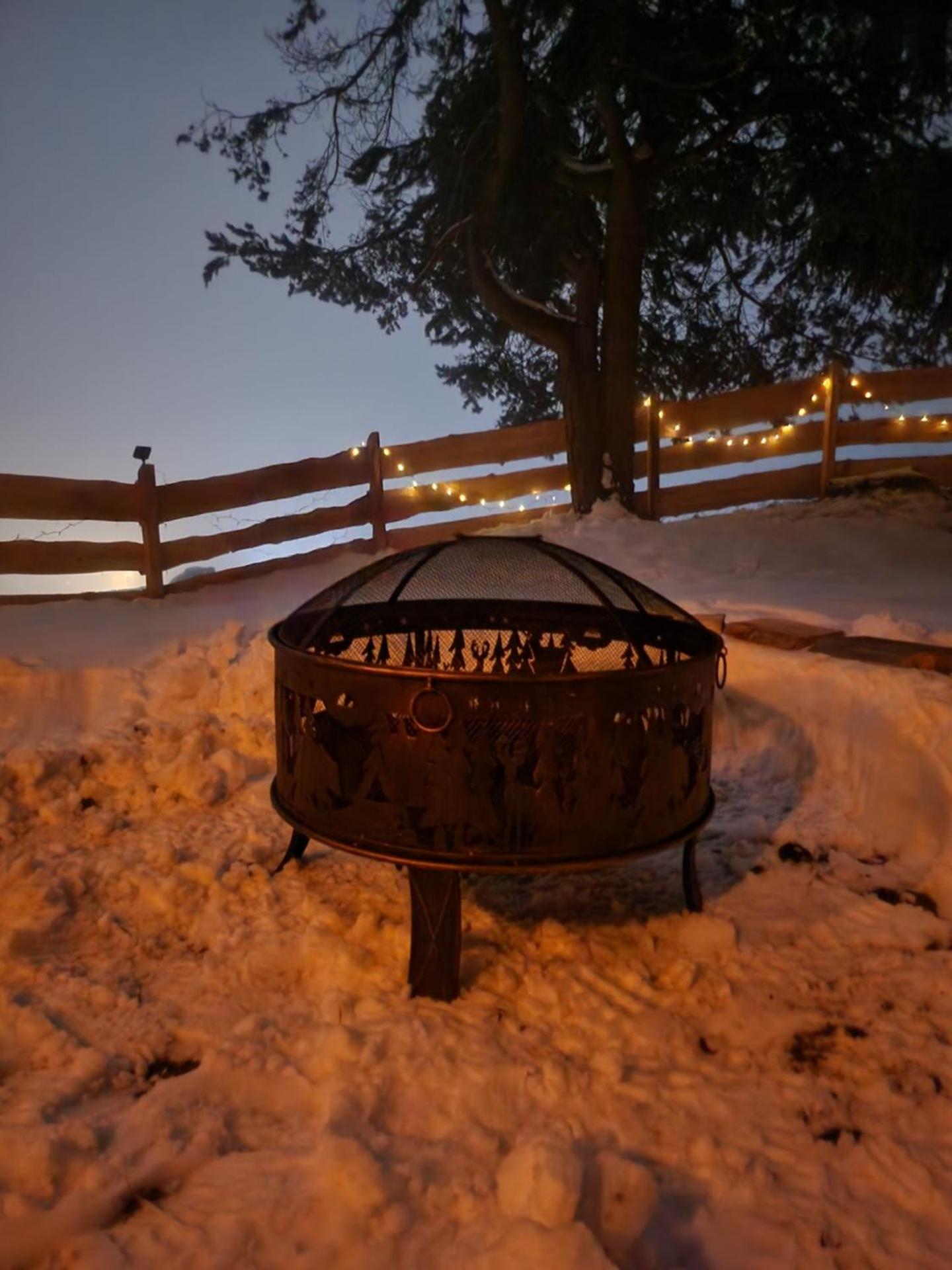 Urige Waldbienenhütte