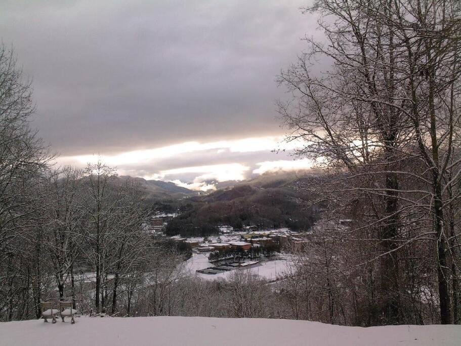 2 Bedroom Apartment overlooks WCU and Cullowhee NC - Smoke and Pet free