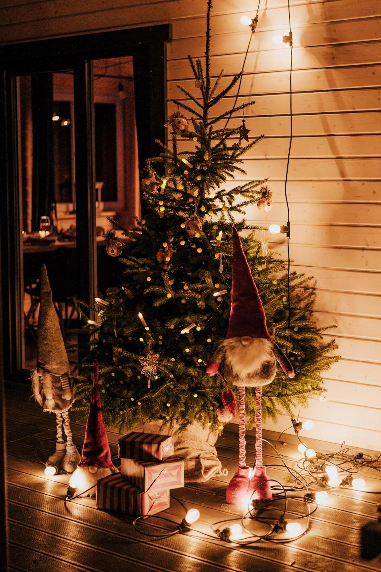 Świerkowisko cisza las plaża blisko