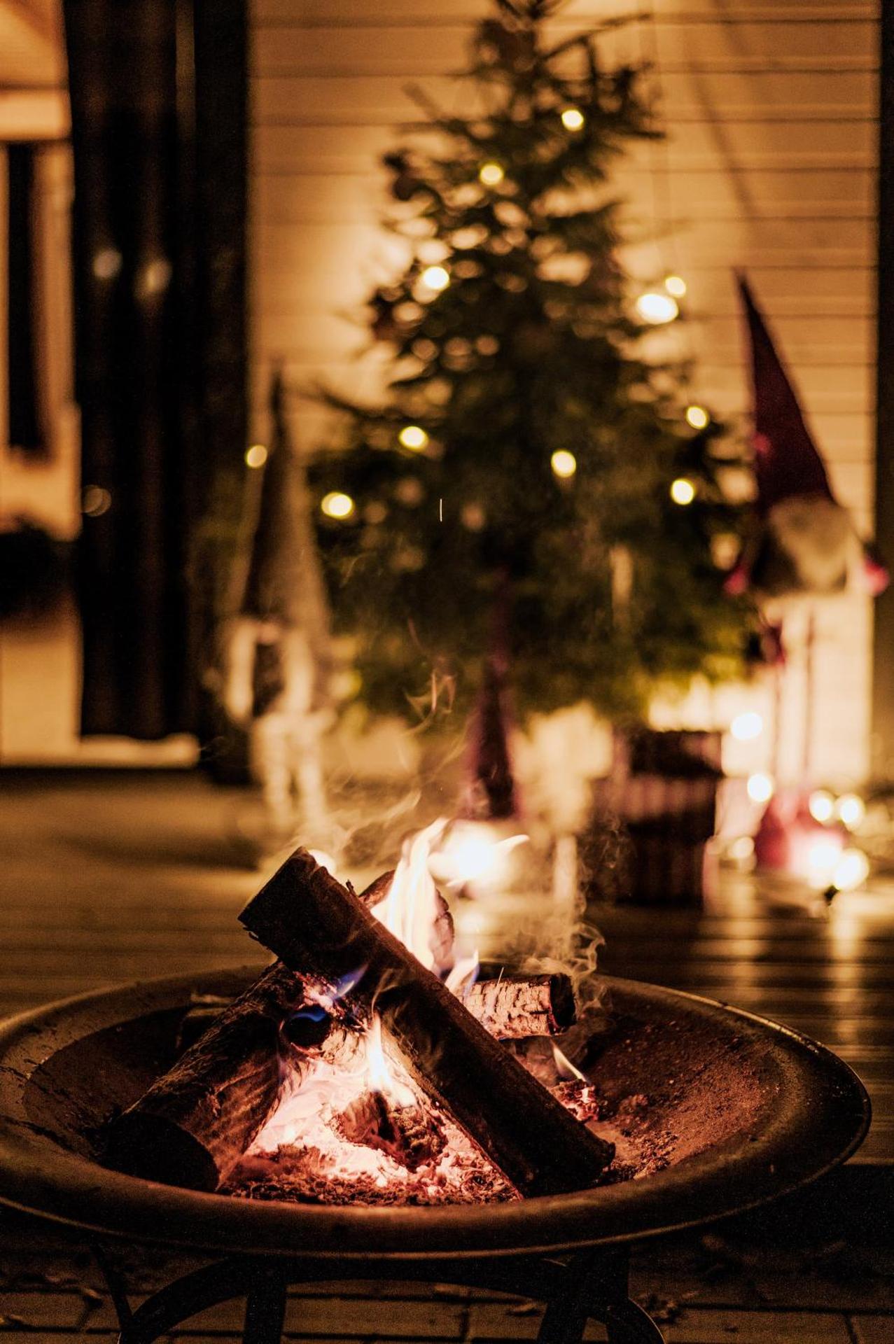 Świerkowisko cisza las plaża blisko