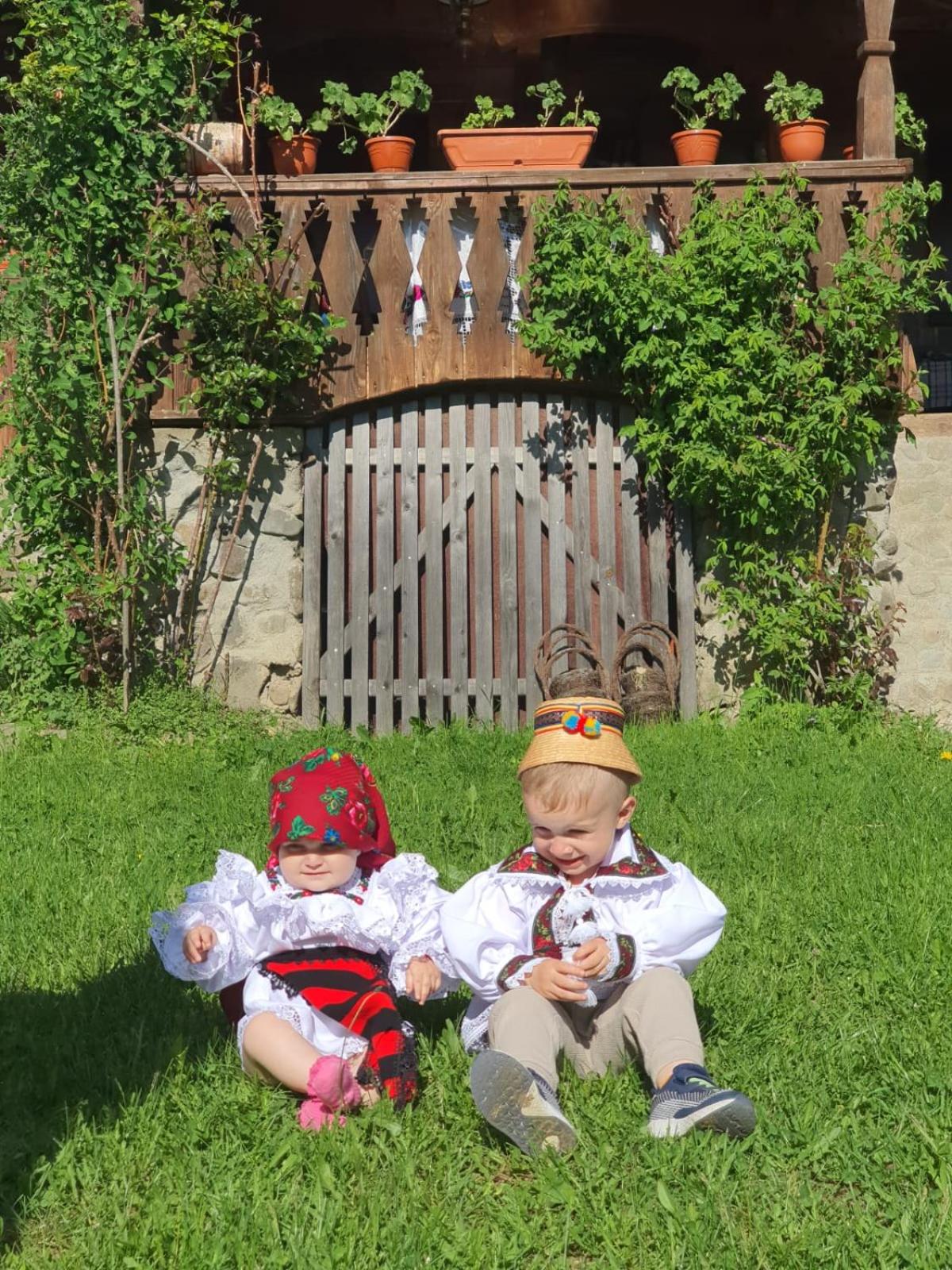 Pensiunea Ancuta din Botiza