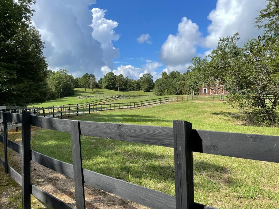 Bohamia - Cozy A-Frame Glamp on 268 acre forest retreat