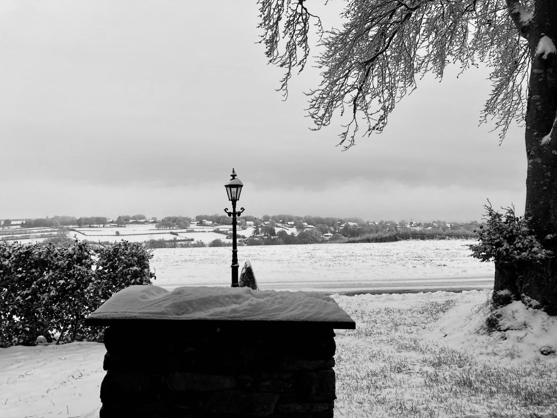 Tiny House - Luxury Cottage