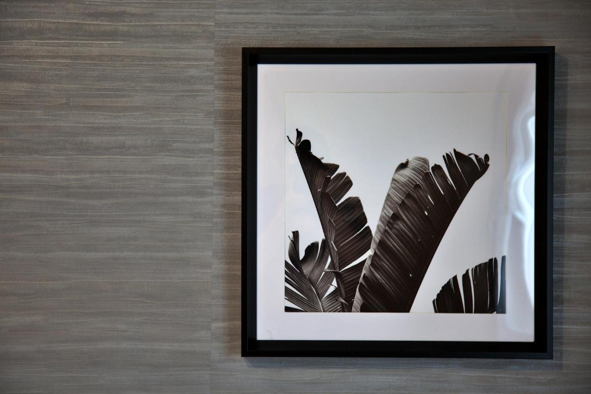 メイスン倶楽部 501