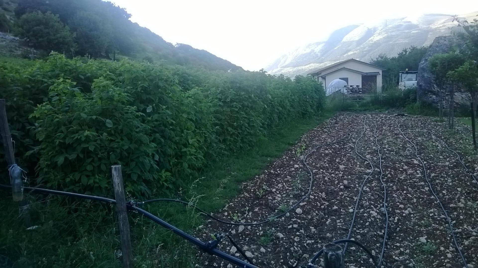 Al Peschio Pizzuto Agriturismo