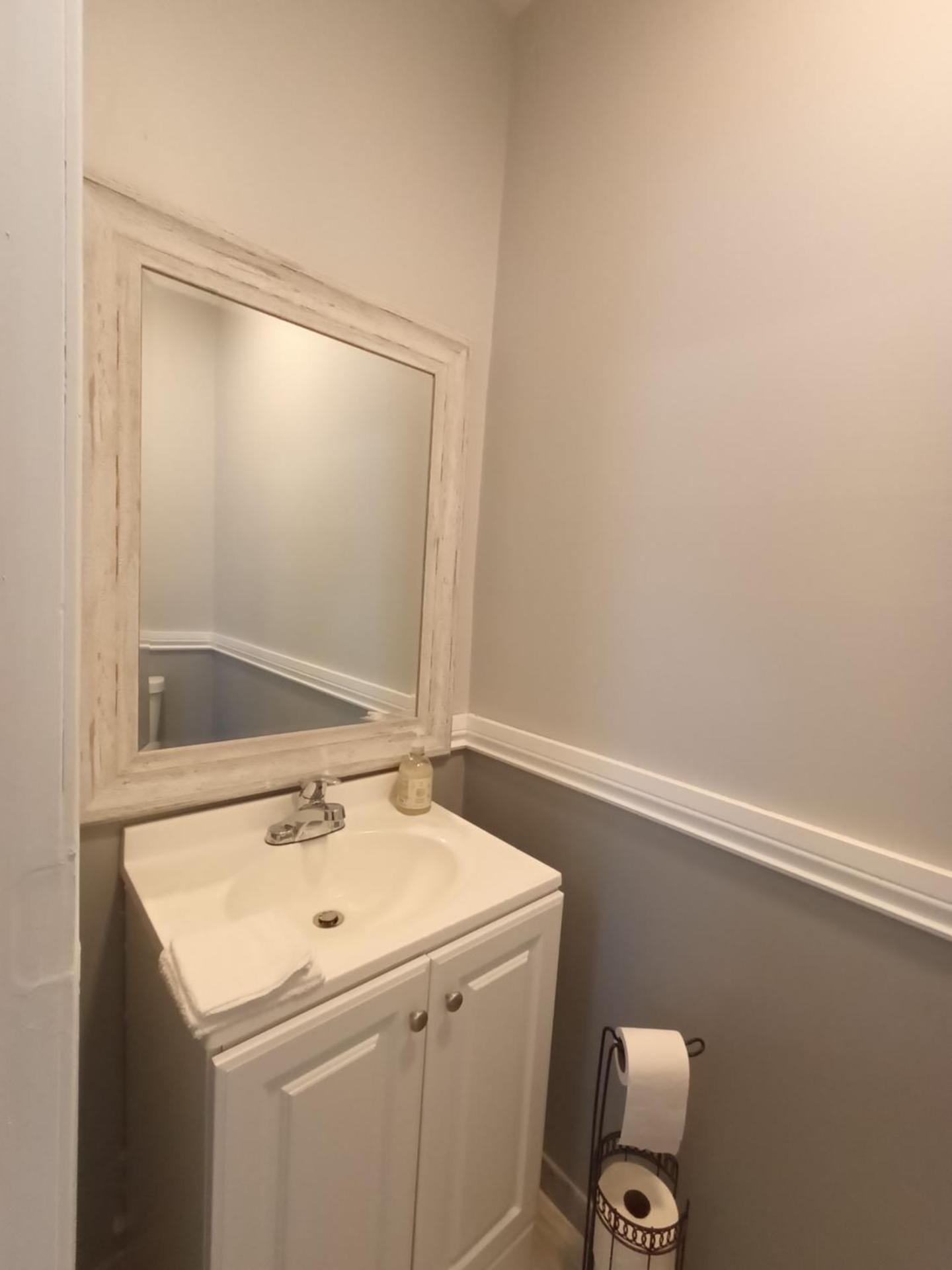 Cozy Updated 3-BR apartment near Peace Bridge
