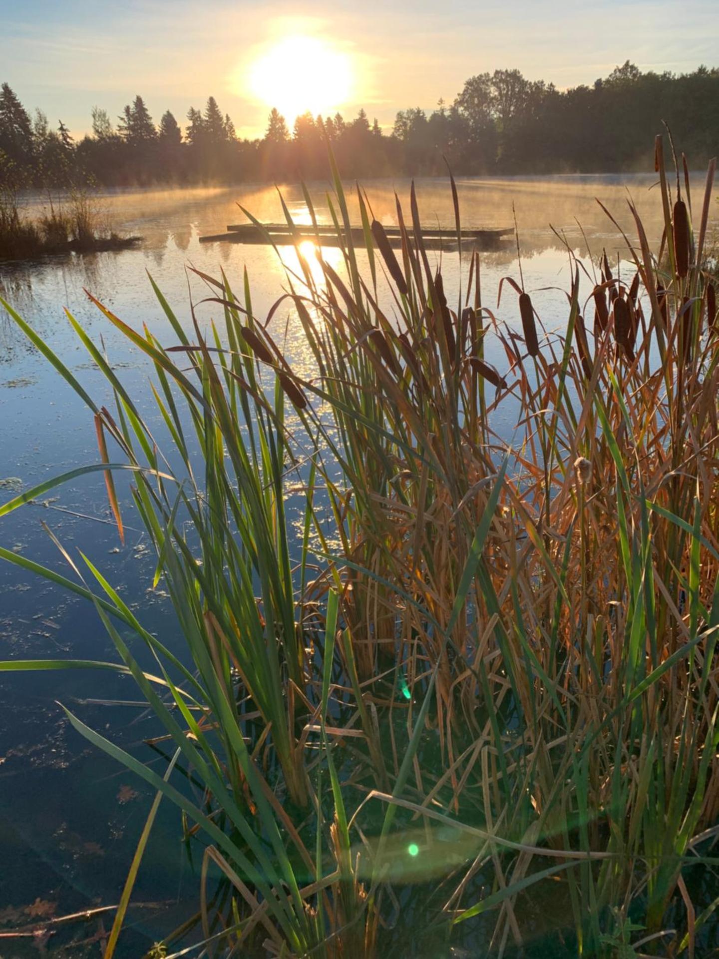 Kathrin`s Appartment