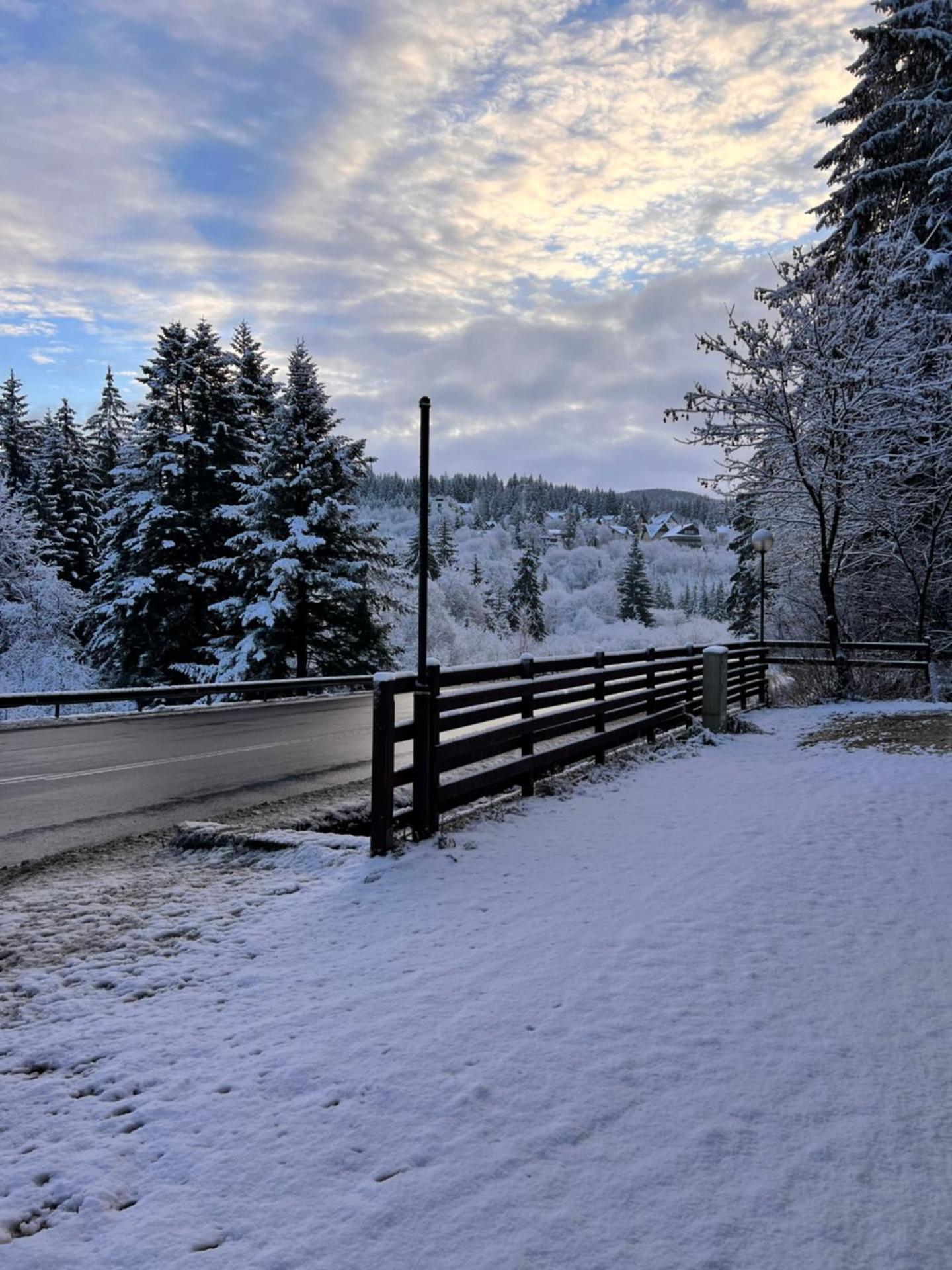 Penthouse luxury Predeal View