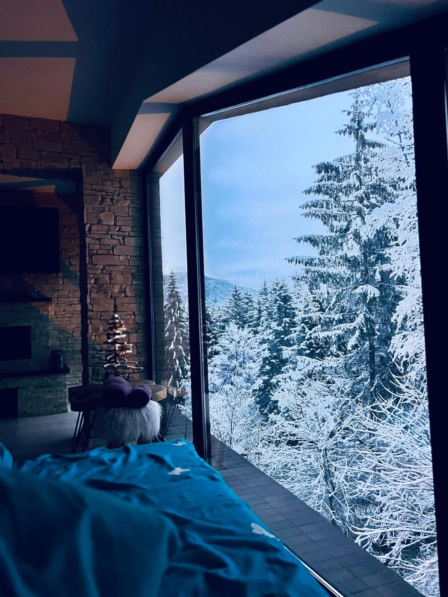 Penthouse luxury Predeal View