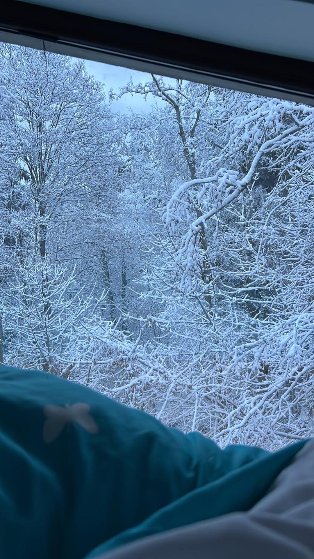 Penthouse luxury Predeal View