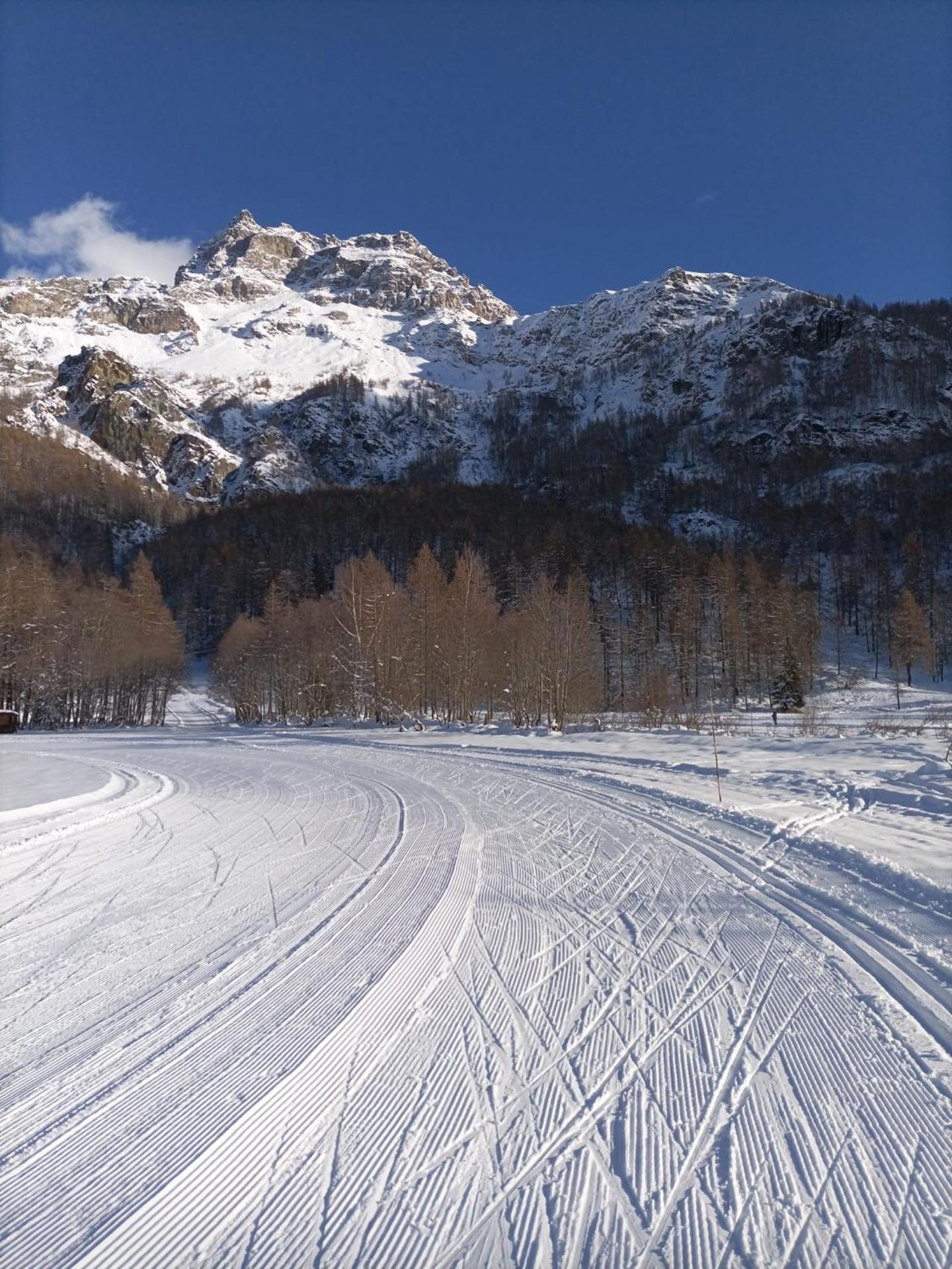 Hotel Meublè Meridiana