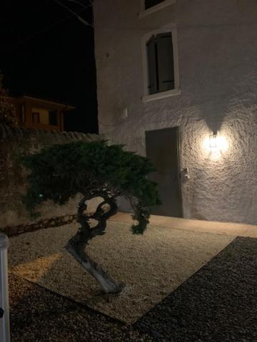 Magnolia Country House