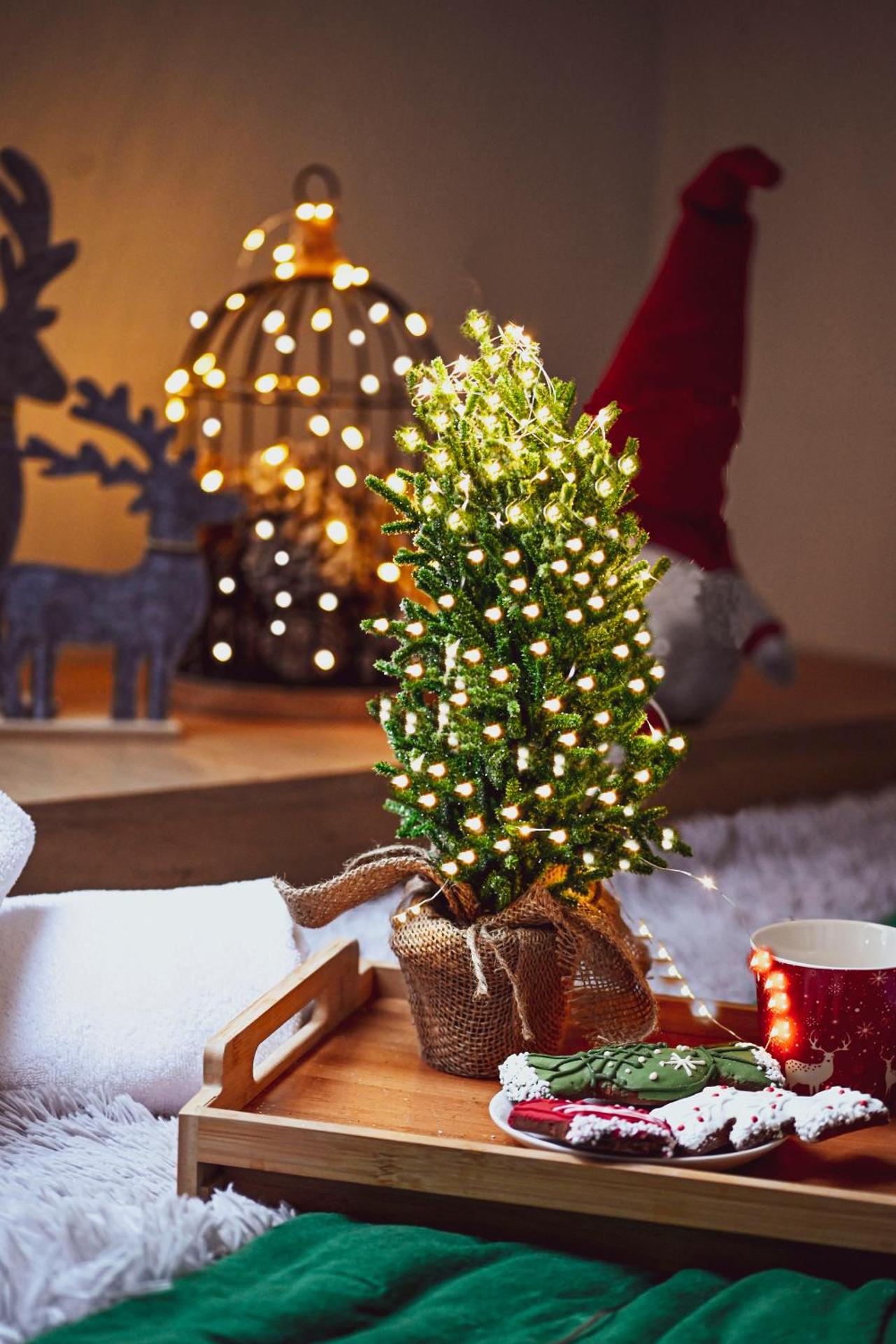 Domek w górach - Prywatne Jacuzzi, Sauna, Grota Solna - PANORAMA CHEŁM SKI&SPA