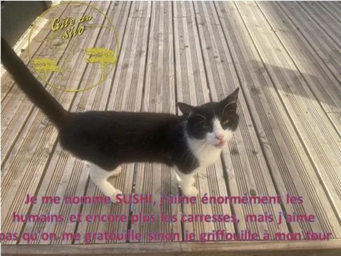 Gîte du Silo Epi de Maïs Piscine et SPA