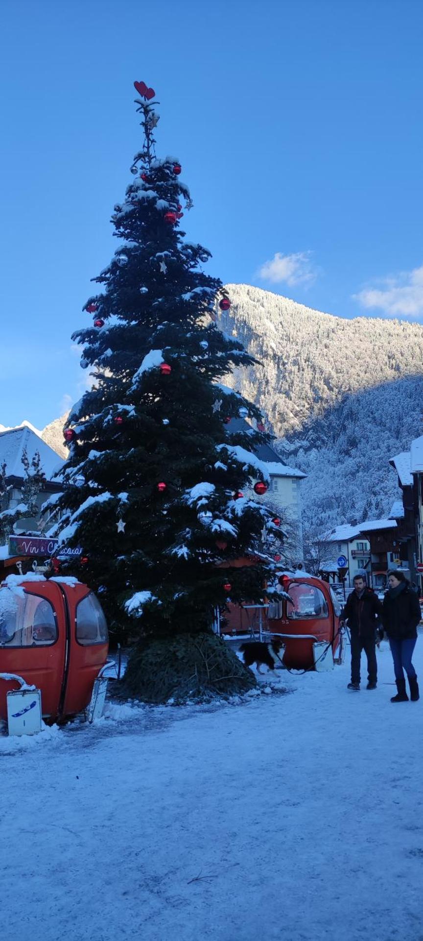 DOMAINE DU GRAND TETRAS SAMOENS