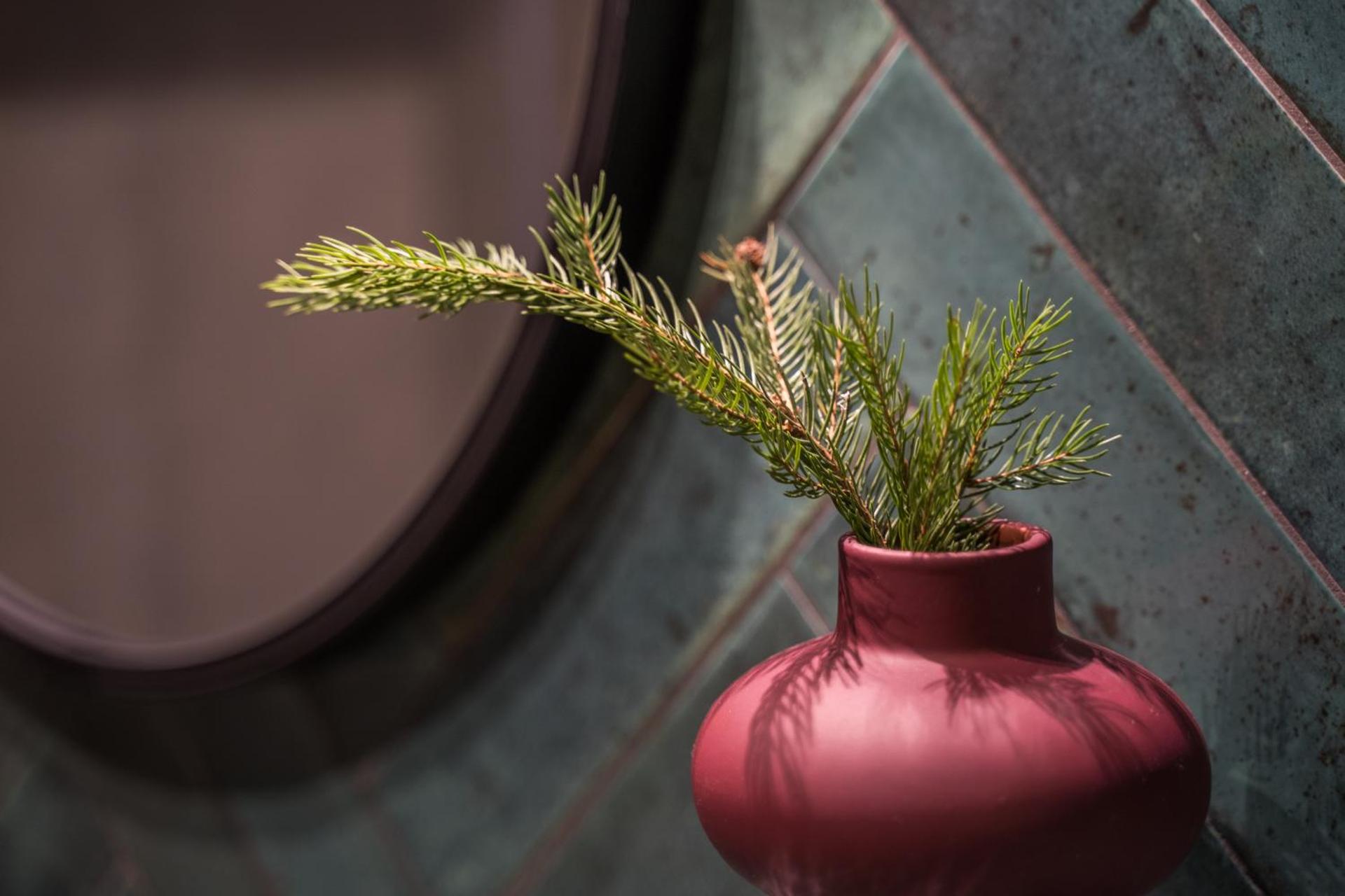 Rezerwat Ustrzyki Górne