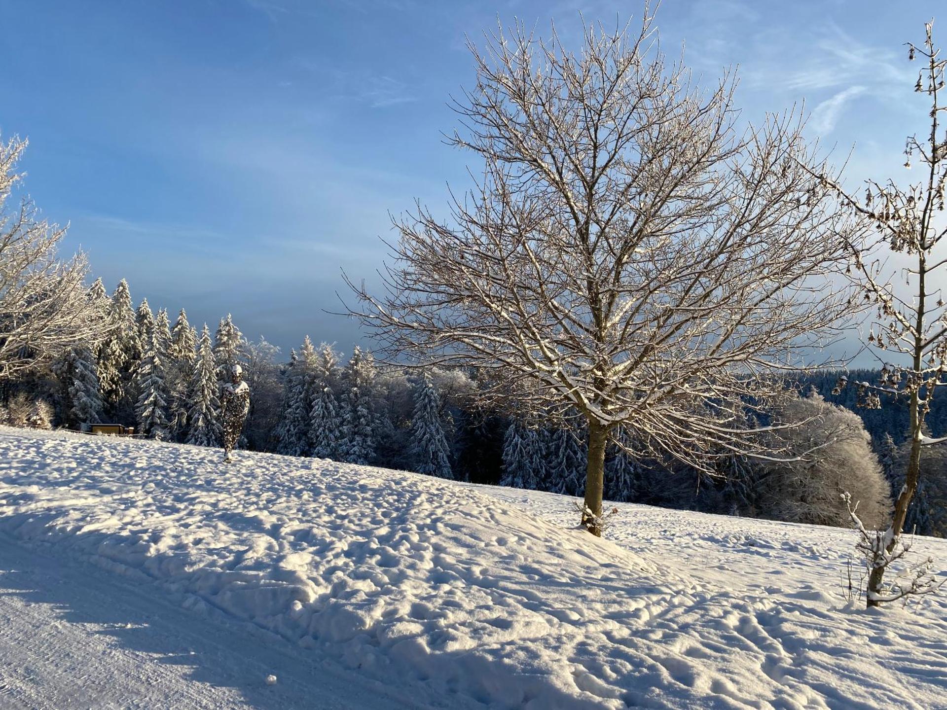 Ferienhaus Vier Jahreszeiten