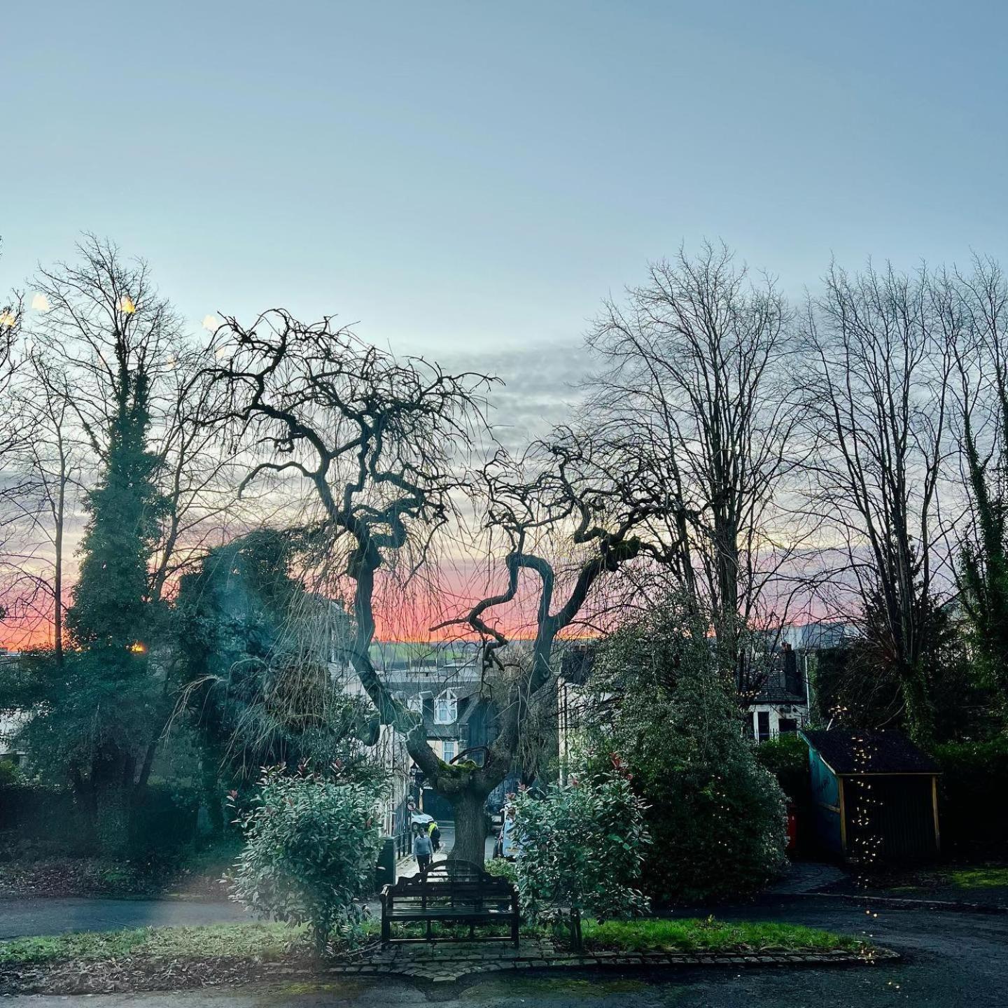 View (from property/room)