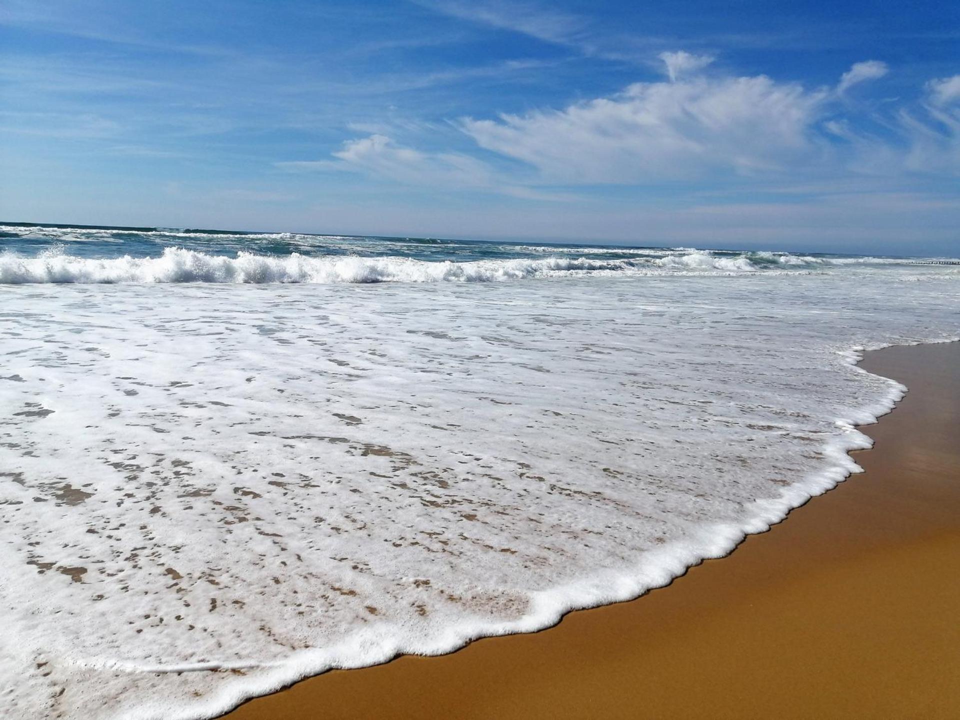 Villa patio avec piscine, à 400m des commerces et 6km de plage - Animaux admis - FR-1-239-83