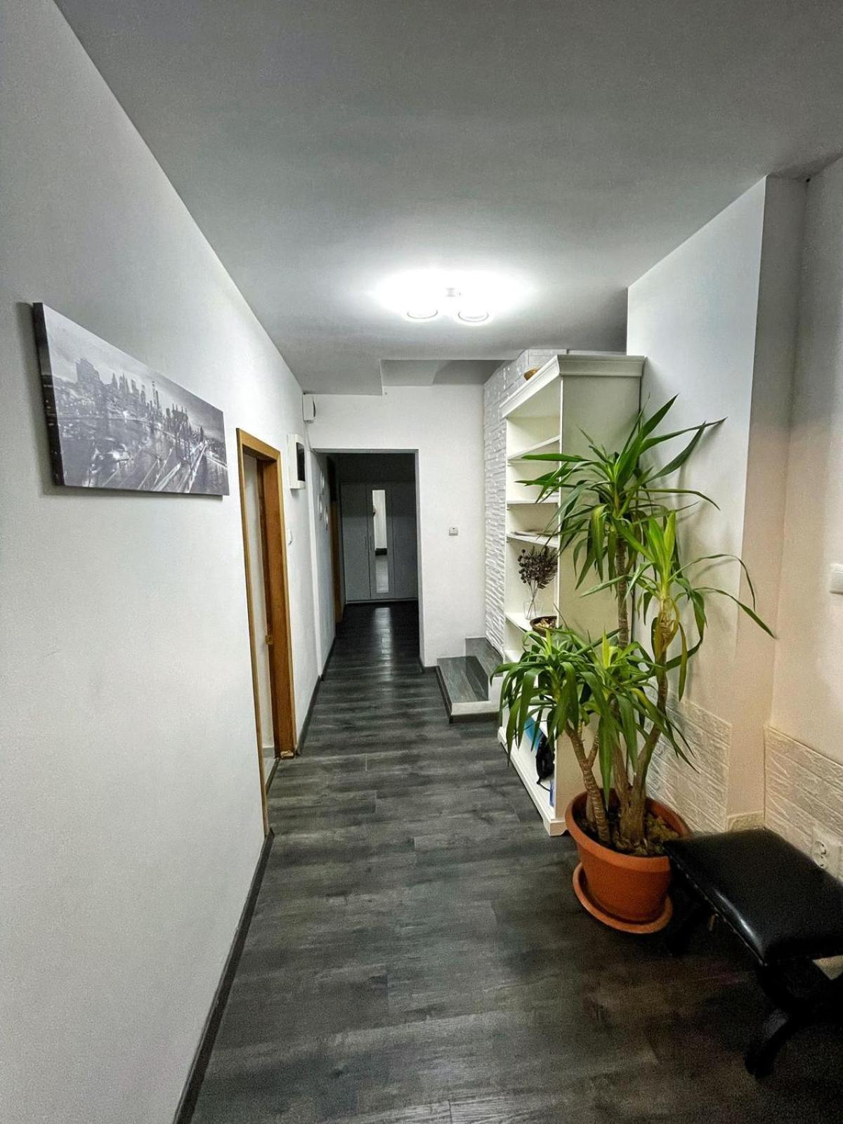 3 Rooms Cinema Garden Parking House