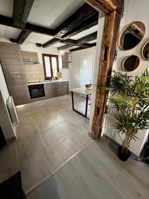 Appartement de charme alsacien, centre historique