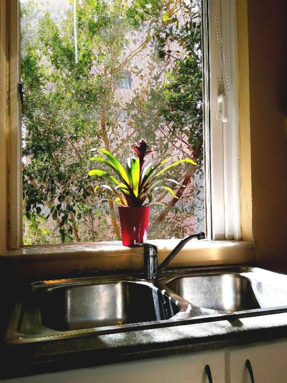 Odyseia Apts ΙI at the Center of the City & Old Town