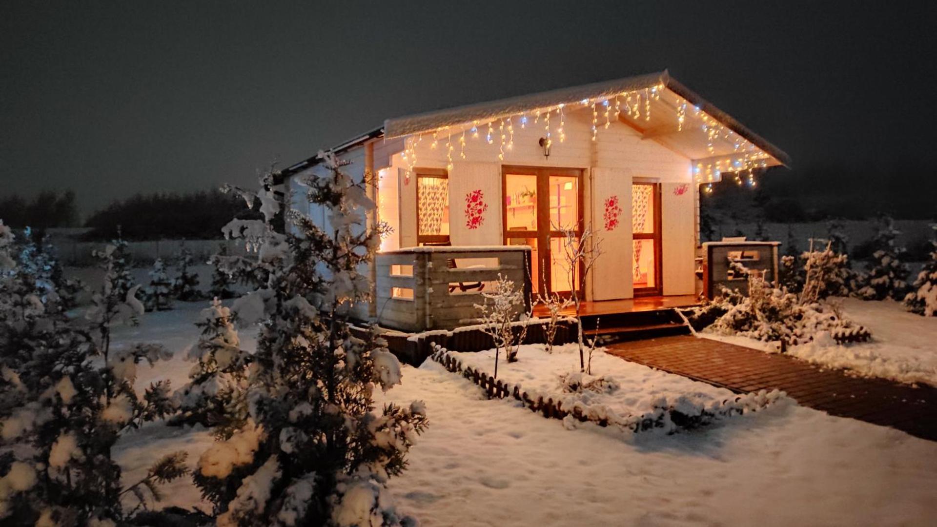 W Malinowym Chruśniaku