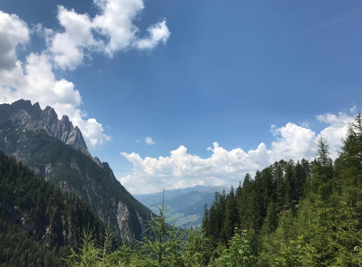 The Dolomiti View