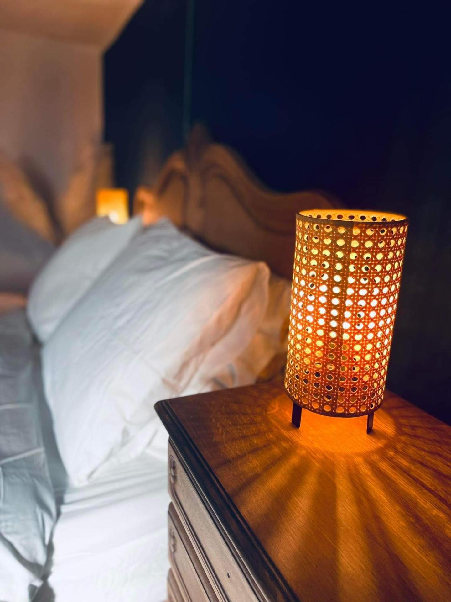 Au détour du vieux hêtre