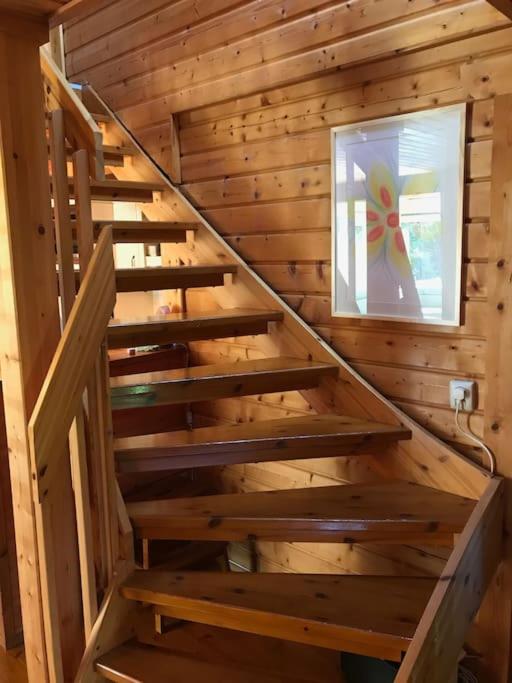 Houten chalet/bungalow in het bos, sauna, jacuzzi