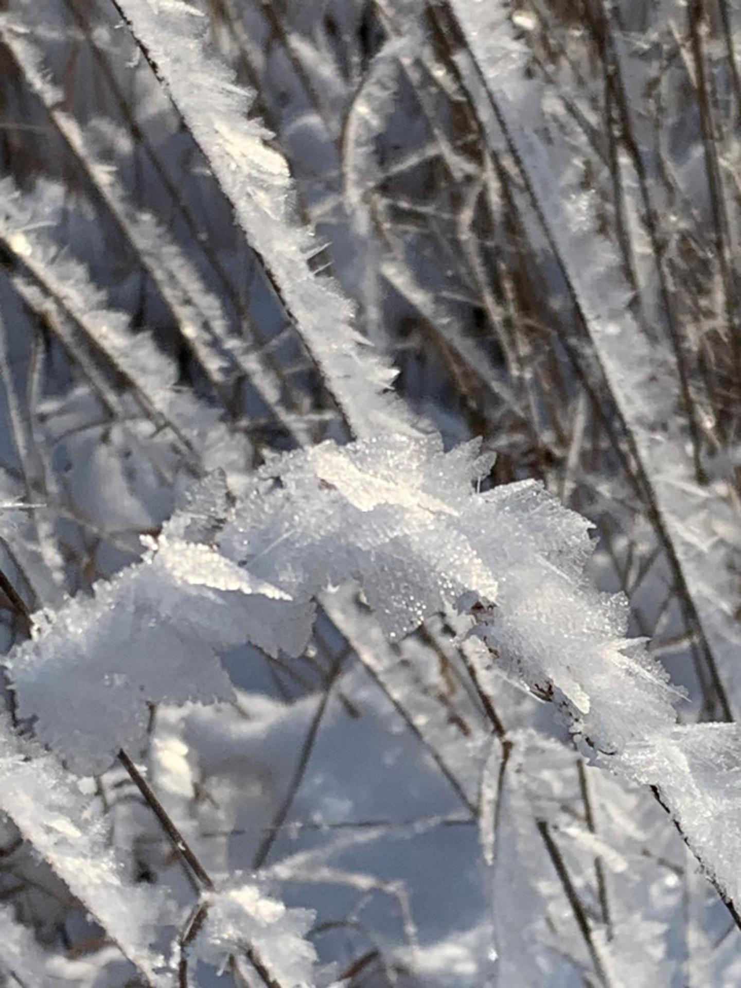 Kathrin`s Appartment