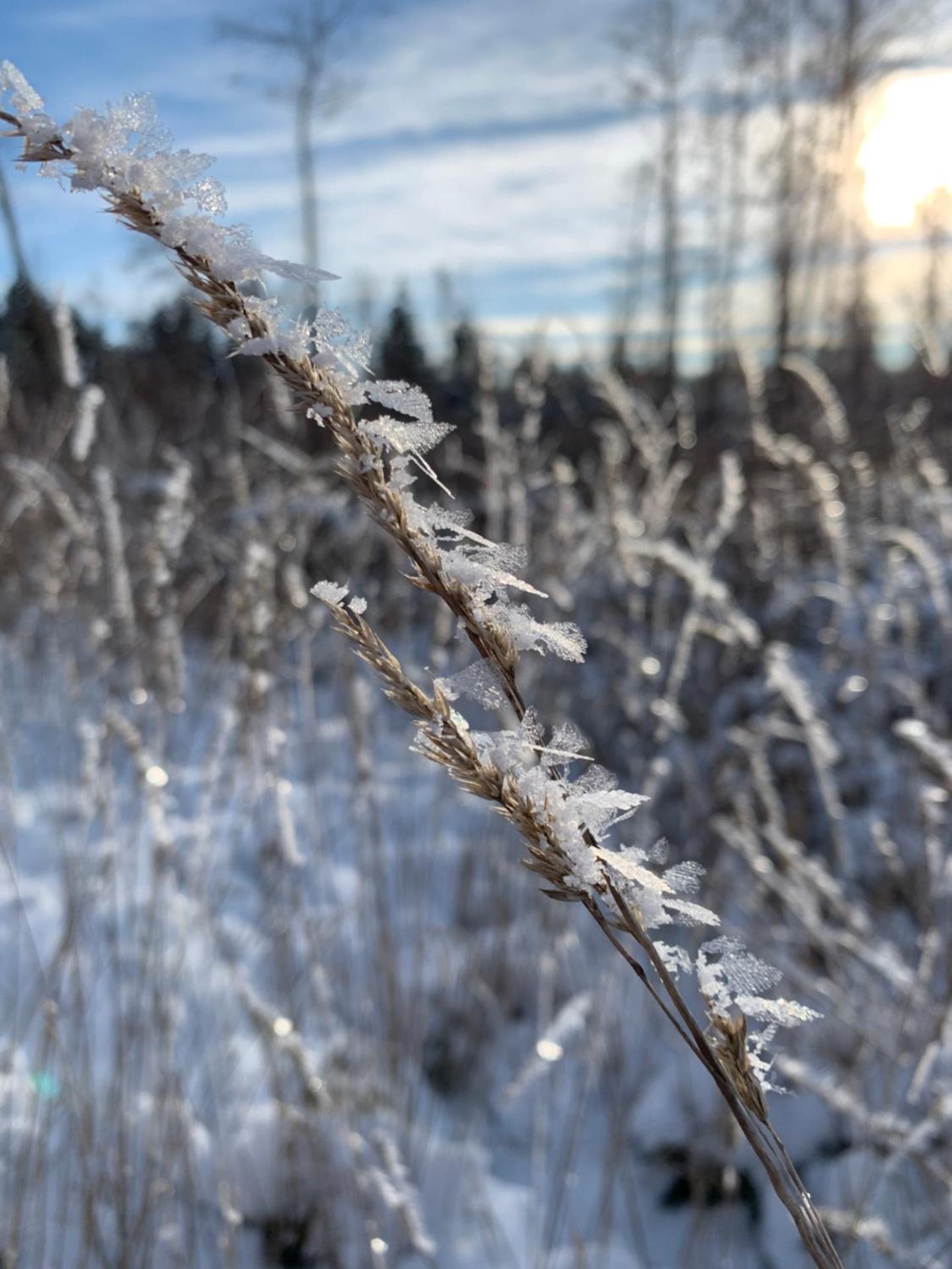 Kathrin`s Appartment
