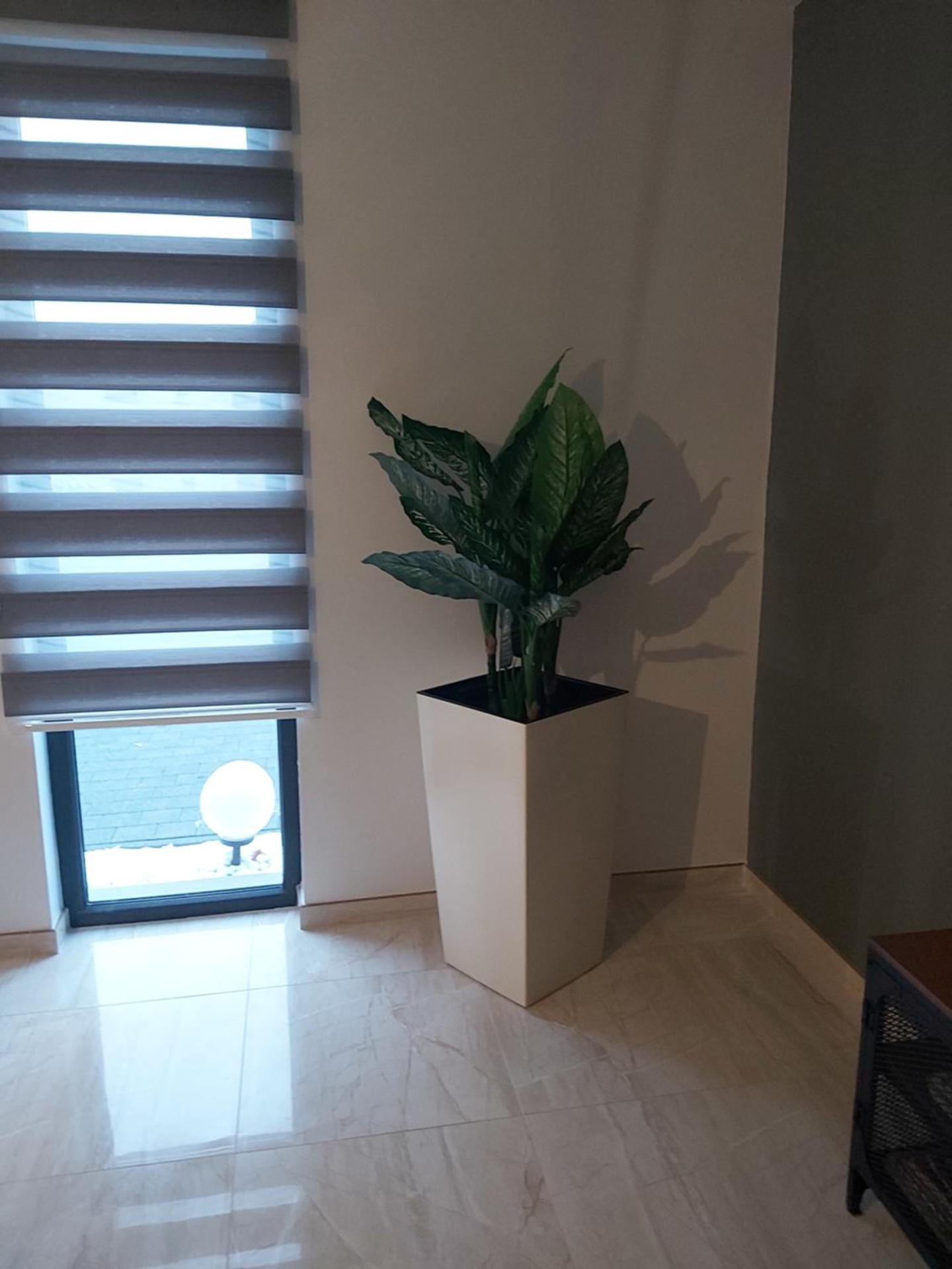 La belle Éden Gite Bastogne