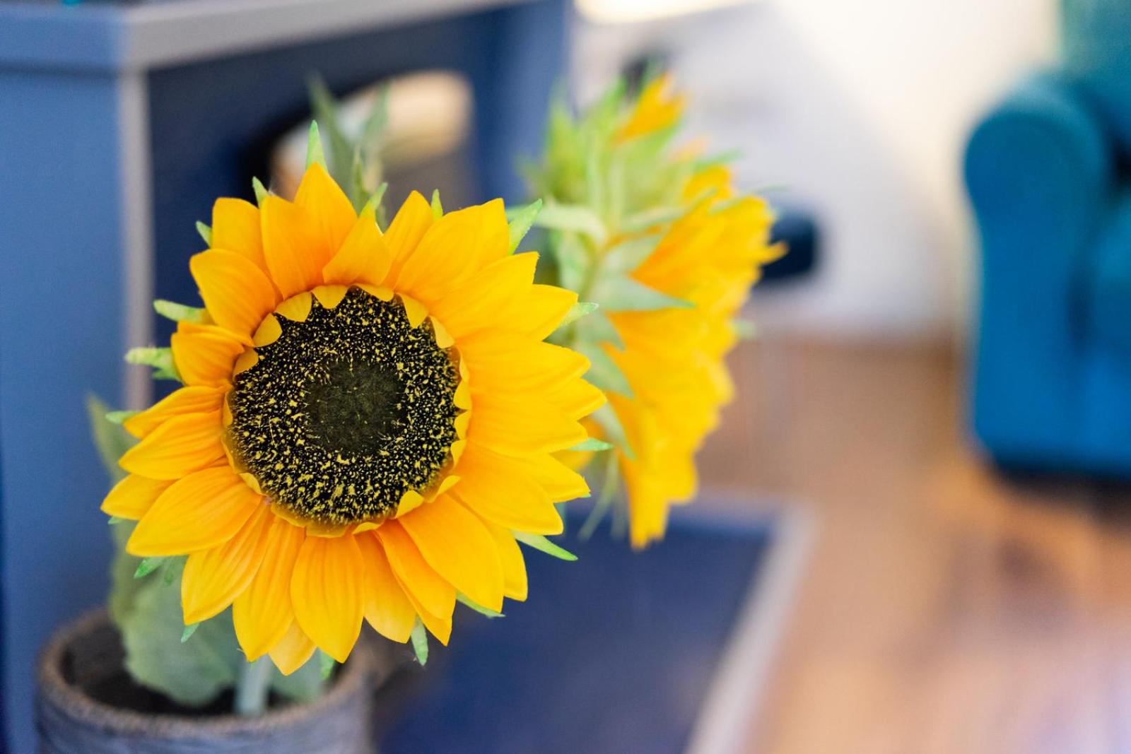 Newly-renovated, mid-terrace cottage in Porthmadog