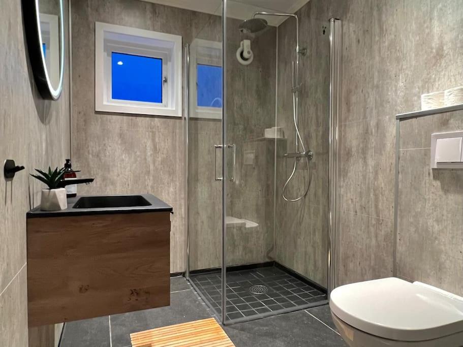 Reine Front View - Mountain & Seaview