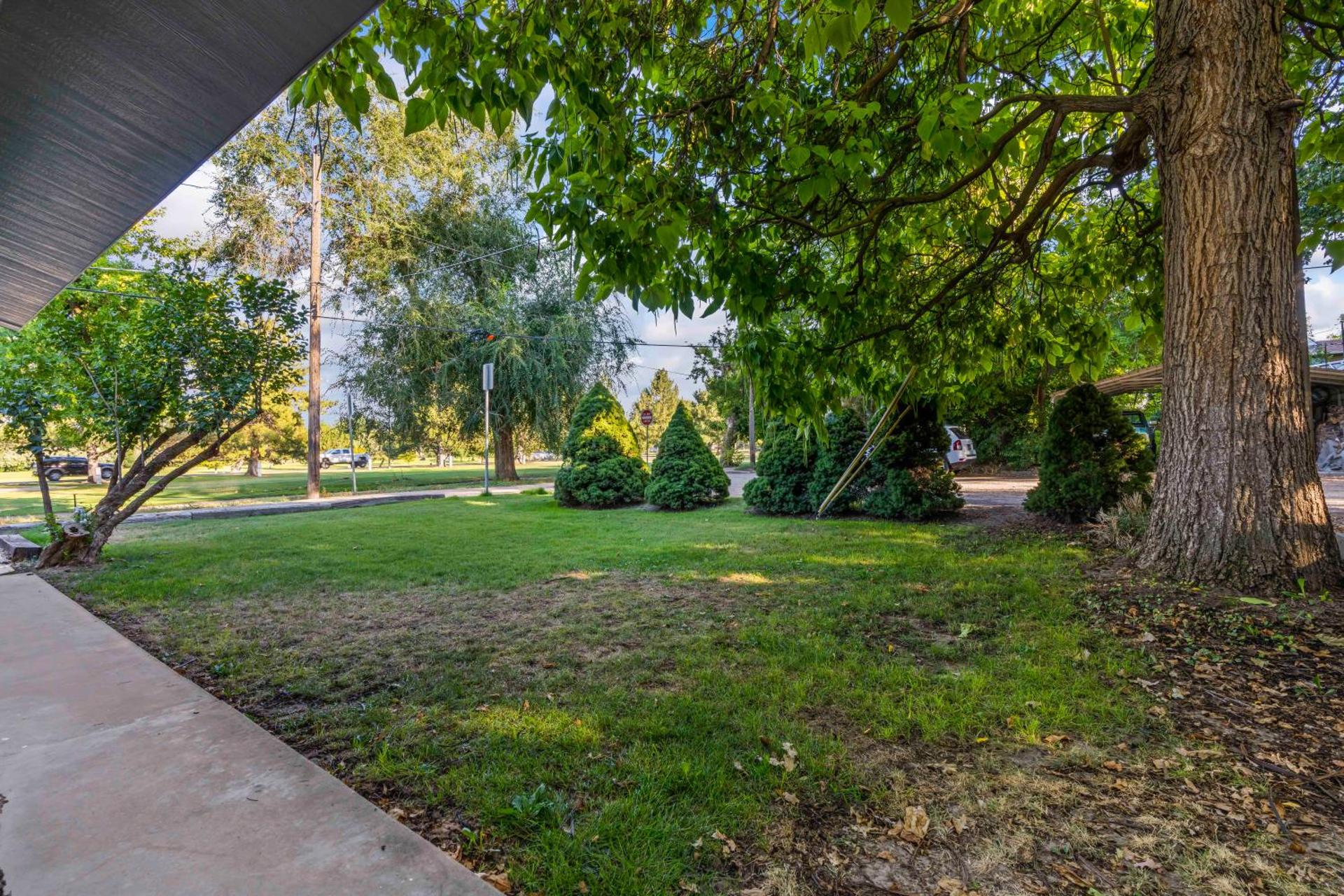 View (from property/room)