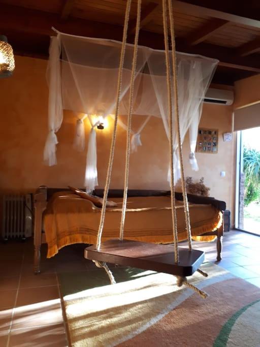 CasaT5, Férias, Piscina Privativa. Águeda, Aveiro