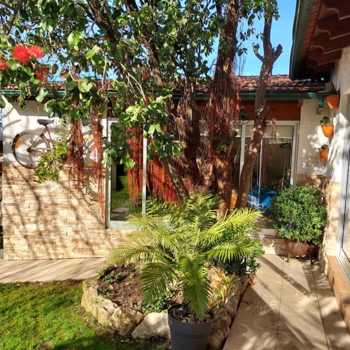 CasaT5, Férias, Piscina Privativa. Águeda, Aveiro