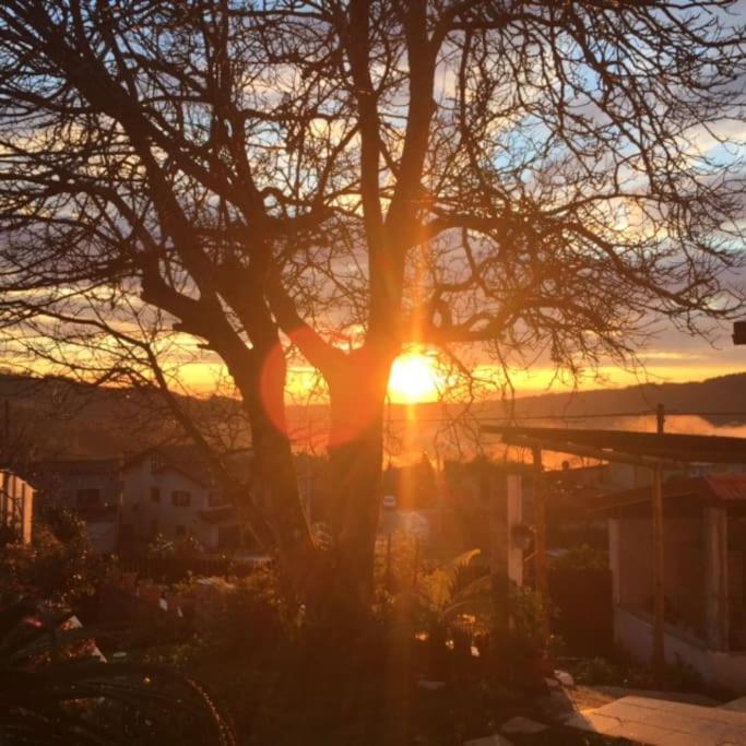 CasaT5, Férias, Piscina Privativa. Águeda, Aveiro