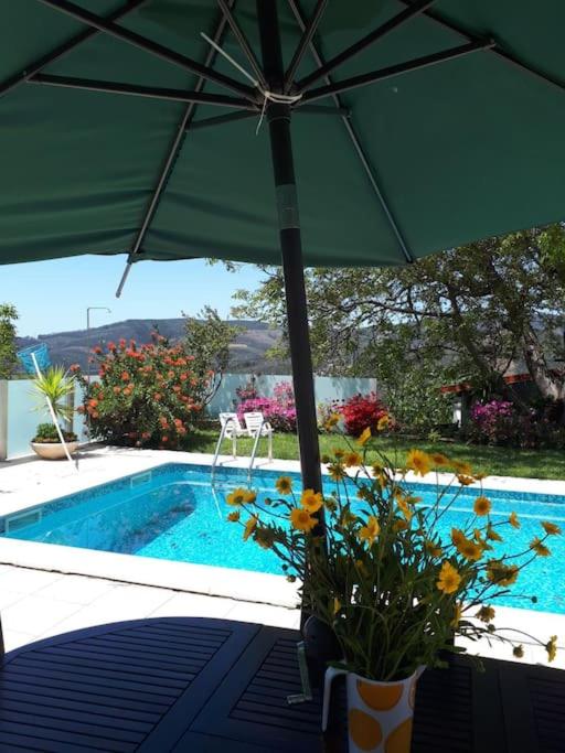 CasaT5, Férias, Piscina Privativa. Águeda, Aveiro