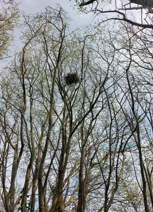 Stunning apartment set in private native woodland