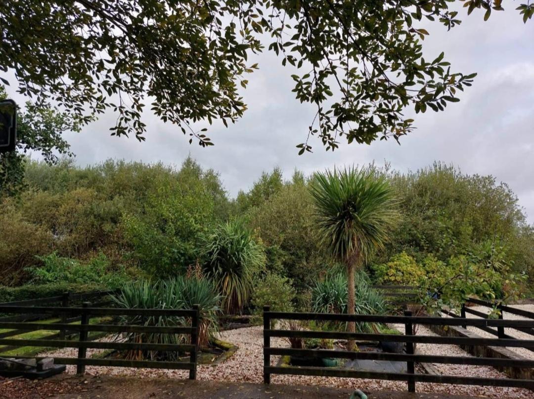 Stunning apartment set in private native woodland