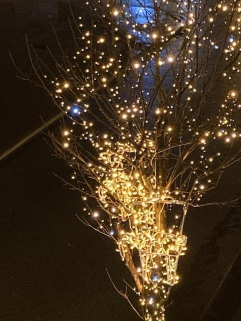 Apartment with a view and parking