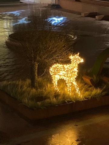 Apartment with a view and parking