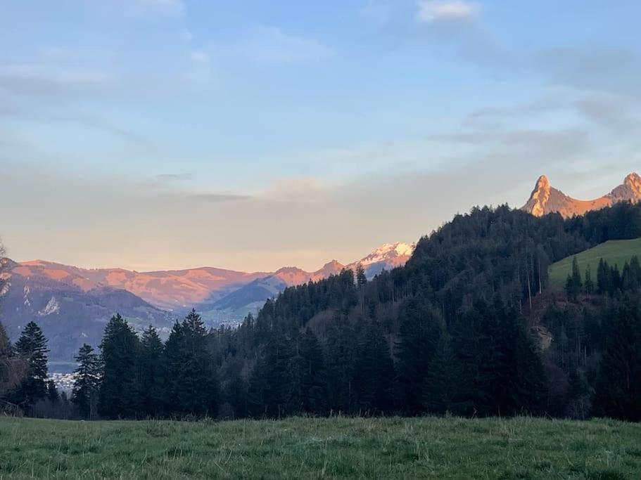 Joli studio au pied du Moleson