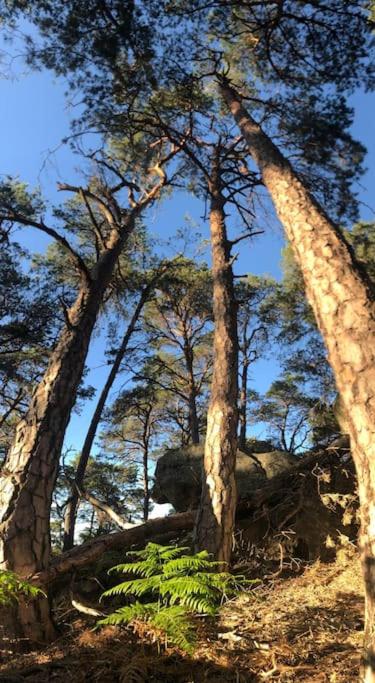 Milly COCOON / centre ville